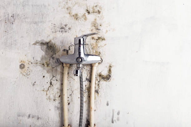 Best Mold Testing  in Laguna Beach, CA