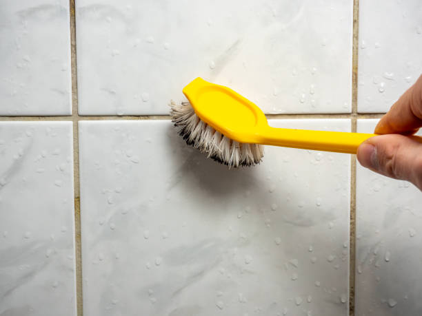  Laguna Beach, CA Mold Removal Pros