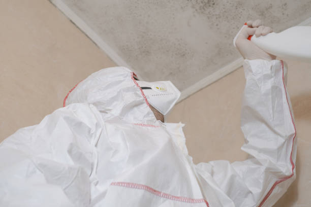 Best Mold Removal Process  in Laguna Beach, CA